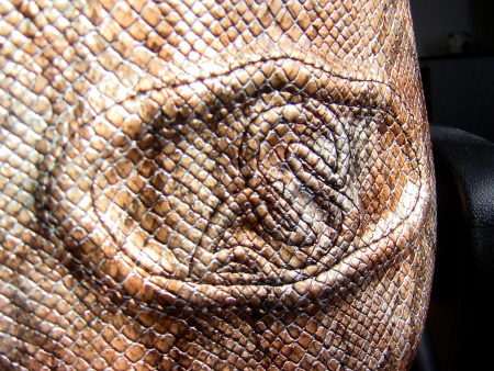 Brostuhl - Nanotec, Schlangenleder, 3D Logo
